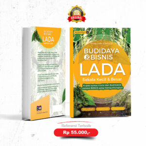 Budidaya dan Bisnis Lada Skala Kecil & Besar