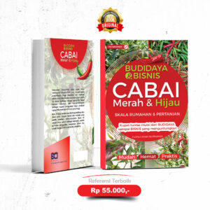 Budidaya dan Bisnis Cabe Merah & Hijau Skala Rumahan dan Pertanian