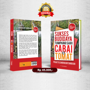 Sukse Budidaya Tumpang Sari Cabai & Tomat Praktis & Menguntungkan
