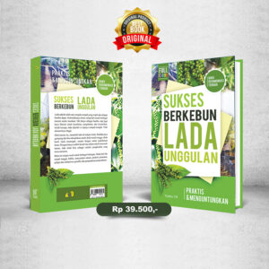 Sukses Berkebun Lada Unggulan