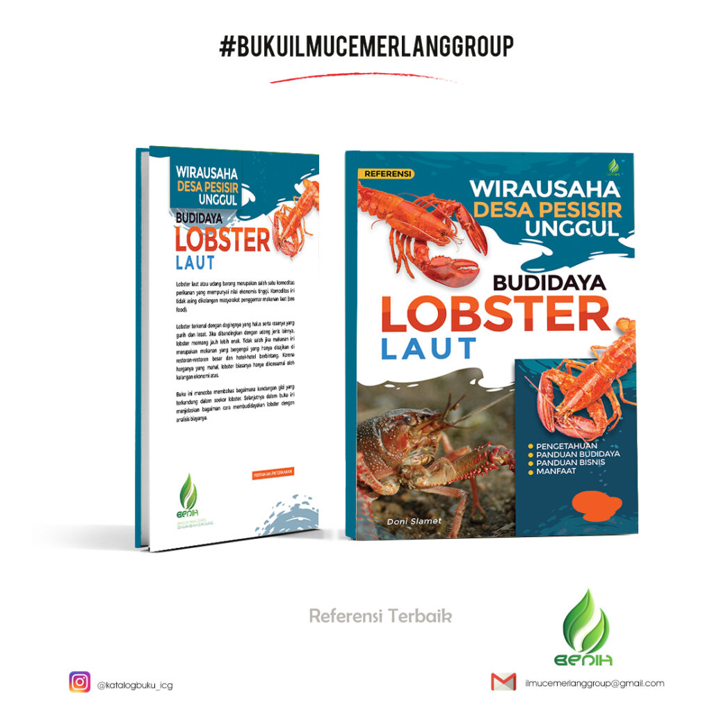 Budidaya Lobster Laut